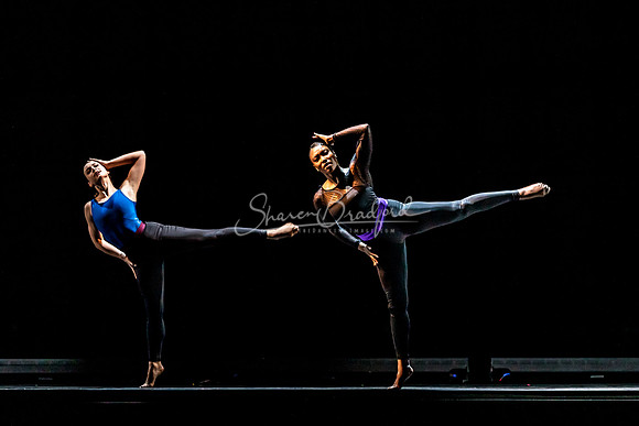 Execution of a Sentiment pc Sharen Bradford-4938
