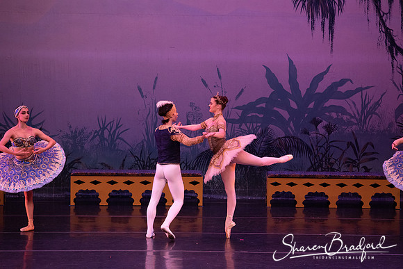TDC La Bayadere pc Sharen Bradford-3181