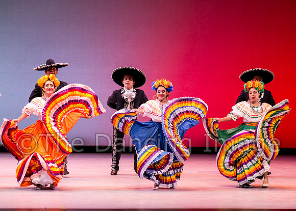 Mosaic Dance Project-0469