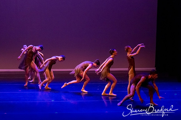 Ballet Dallas Seasons pc Sharen Bradford-1489