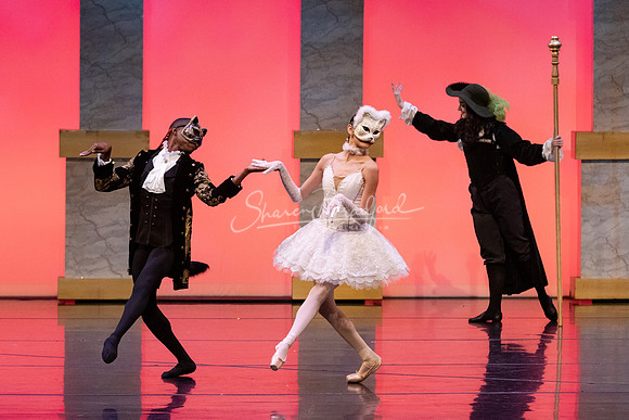 Ballet NTX Sleeping Beauty pc Sharen Bradford-1664