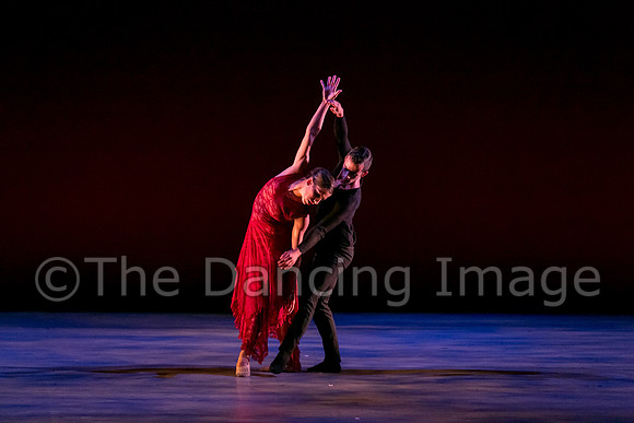 Chado Danse-2849