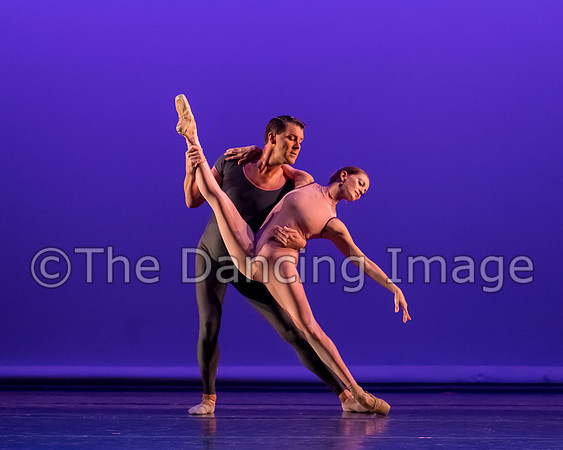 Dream on a Cirrus Sky-6497