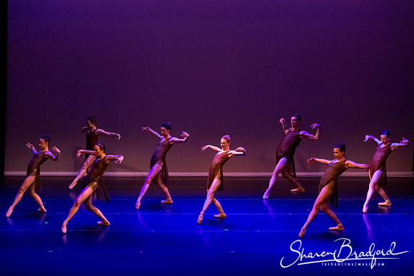 Ballet Dallas Seasons pc Sharen Bradford-1509