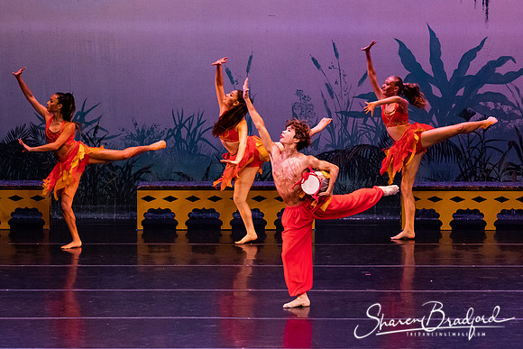 TDC La Bayadere pc Sharen Bradford-2969