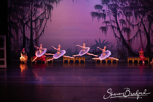 TDC La Bayadere pc Sharen Bradford-3089