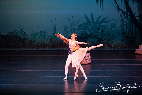 TDC La Bayadere pc Sharen Bradford-2590