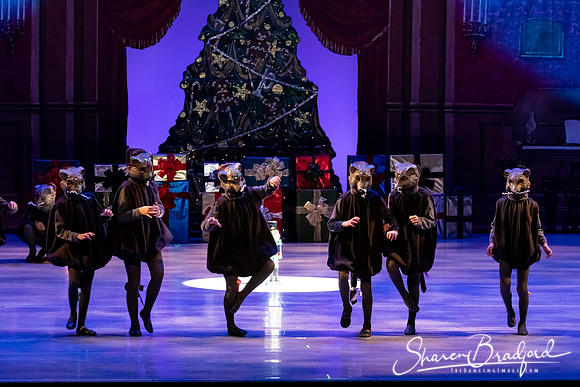 CCBT Nutcracker 19 pc Sharen Bradford-4402