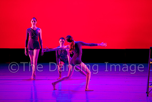 IMG_4916