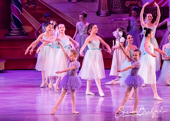 CCBT Nutcracker 19 pc Sharen Bradford-5320