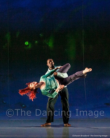 Motionhouse SCATTERED-0209