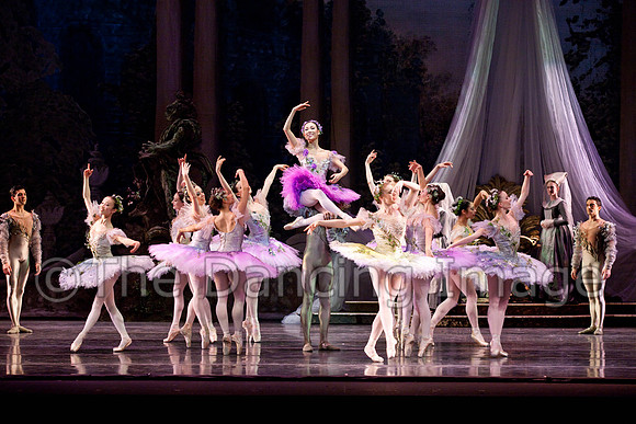 TB Sleeping Beauty Wed.-0037