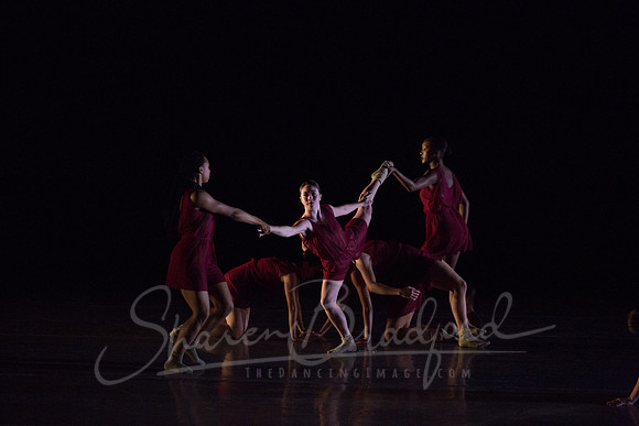 Bloom pc Sharen Bradford-9152