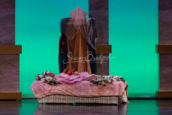 Ballet NTX Sleeping Beauty pc Sharen Bradford-1579