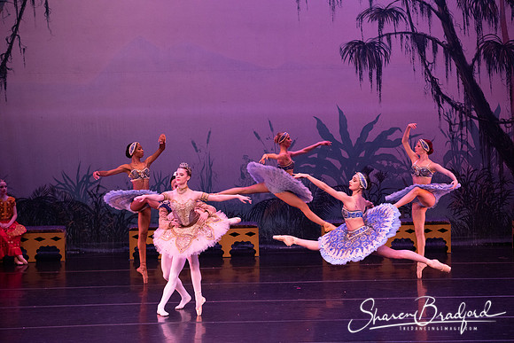 TDC La Bayadere pc Sharen Bradford-3171