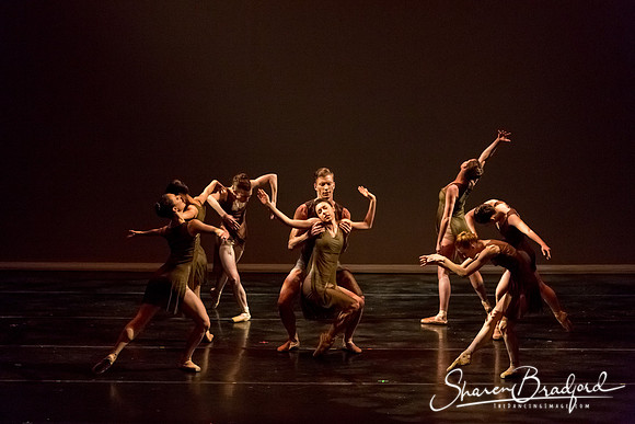 Ballet Dallas Seasons pc Sharen Bradford-1416