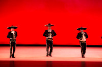 Mosaic Dance Project-0315