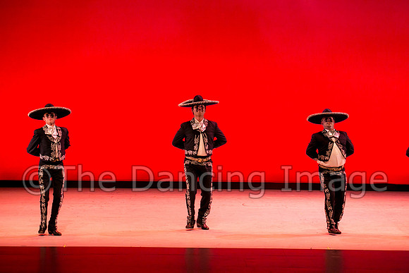 Mosaic Dance Project-0315