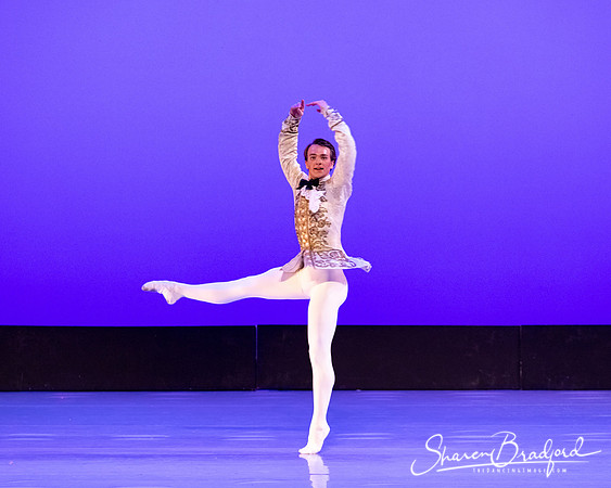TBT Sleeping Beauty Pas pc Sharen Bradford-1560