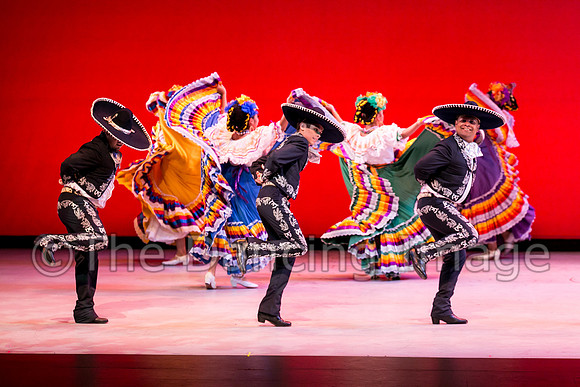 Mosaic Dance Project-0368