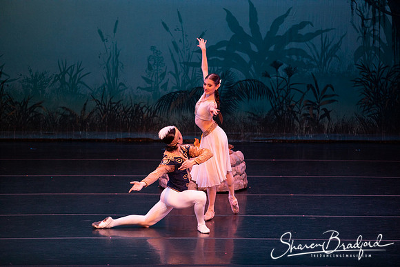 TDC La Bayadere pc Sharen Bradford-2589