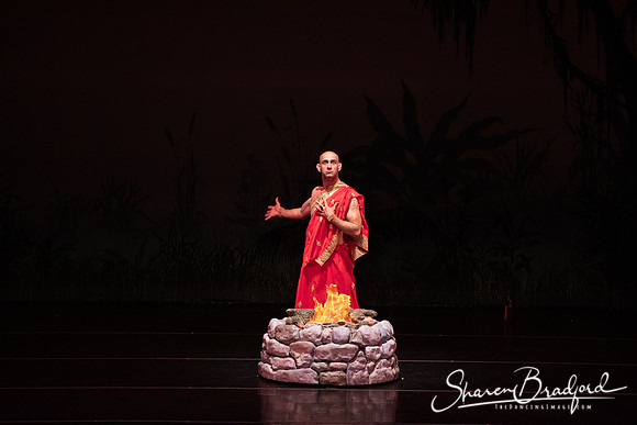 TDC La Bayadere pc Sharen Bradford-2651