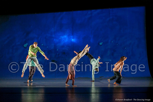 Motionhouse SCATTERED-0255