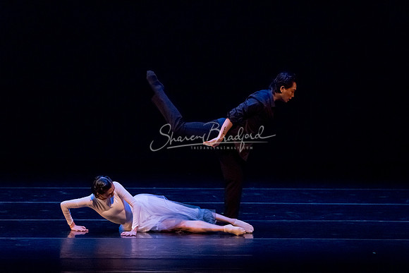 Beyond the Smoke pc Sharen Bradford-8301