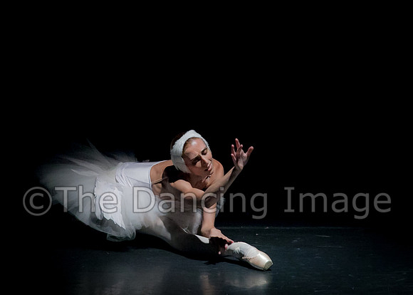 Dying Swan_0353