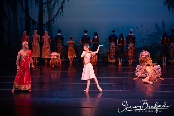 TDC La Bayadere pc Sharen Bradford-2548