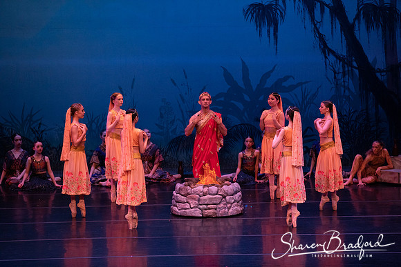 TDC La Bayadere pc Sharen Bradford-2448