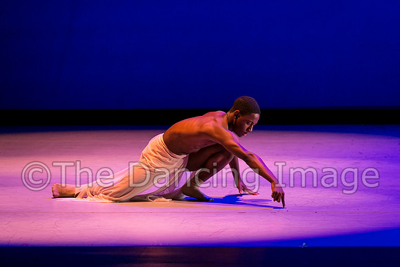 Jared Brown-4847