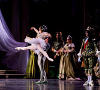 TB Sleeping Beauty Wed.-0020
