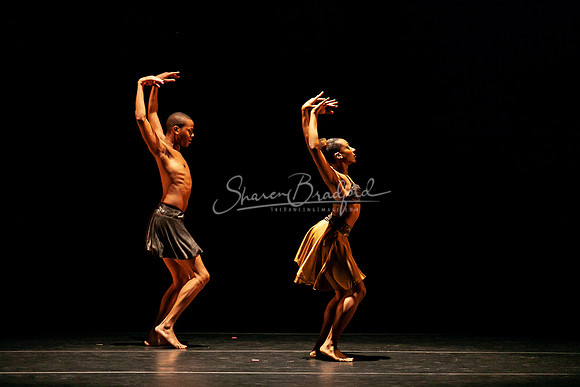 DBDT Pacing 2012 pc Sharen Bradford-3635