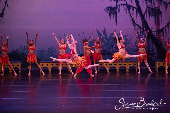 TDC La Bayadere pc Sharen Bradford-3036