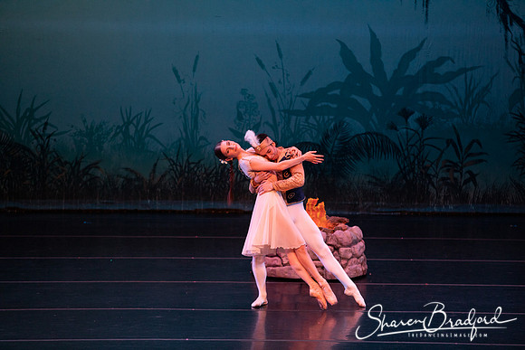 TDC La Bayadere pc Sharen Bradford-2625