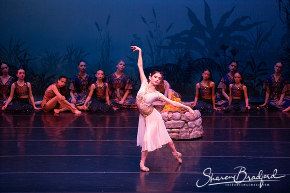 TDC La Bayadere pc Sharen Bradford-2519