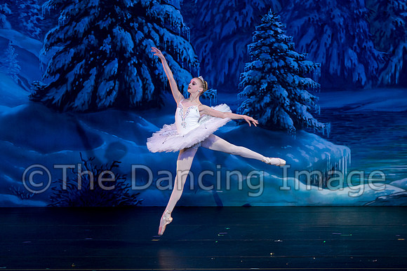 Land of Snow-6042