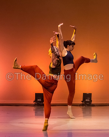 IMG_1919