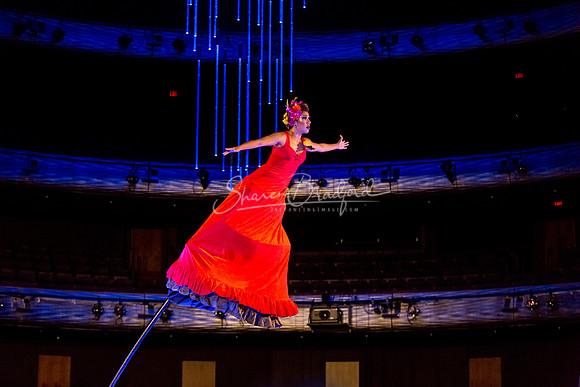 Swoon pc Sharen Bradford-8709