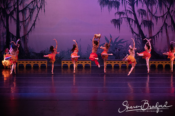 TDC La Bayadere pc Sharen Bradford-3033