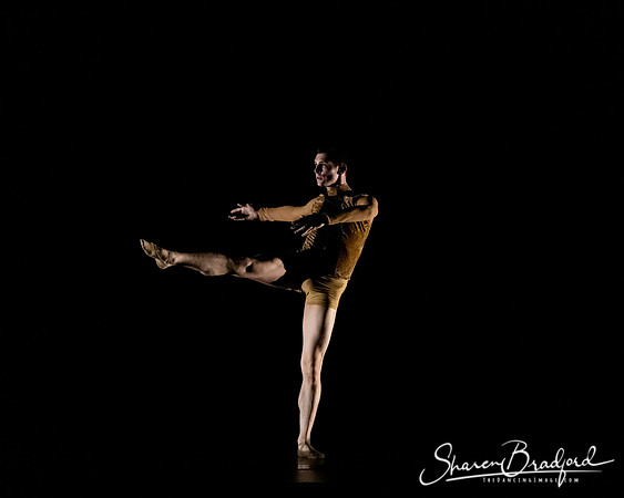ASFB Beautiful Decay pc Sharen Bradford-2253