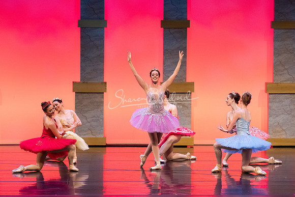 Ballet NTX Sleeping Beauty pc Sharen Bradford-0117