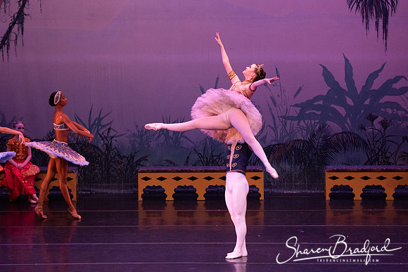 TDC La Bayadere pc Sharen Bradford-3167