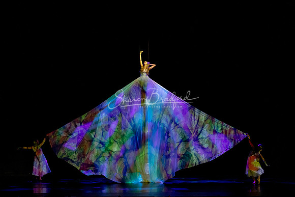 Momix ALICE 9-17-21 pc Sharen Bradford-2683