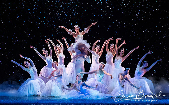 Nutcracker matinee pc Sharen Bradford-5268