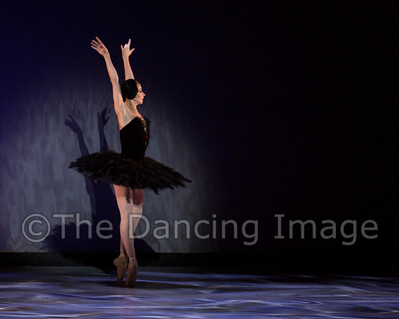 Olga Pavlova_The Dying Swan-3866