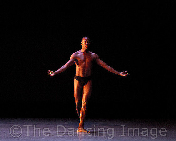 Alvin Ailey ADT-2259
