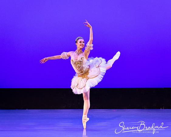 TBT Sleeping Beauty Pas pc Sharen Bradford-1520