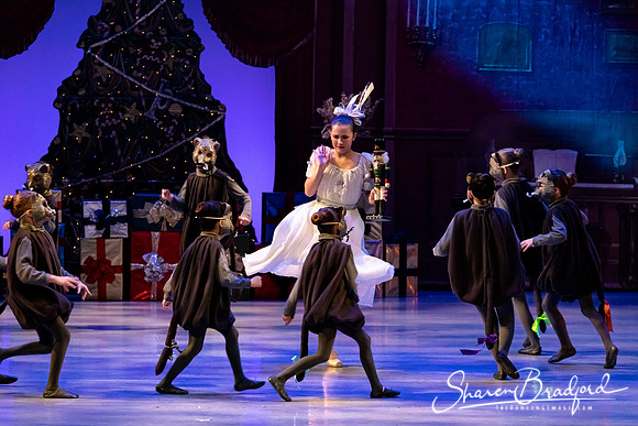 CCBT Nutcracker 19 pc Sharen Bradford-4420